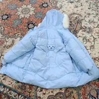 کاپشن|لباس|فیروزآباد (فارس), |دیوار