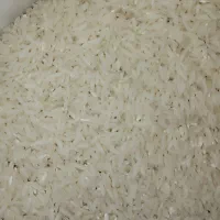 برنج طارم هاشمی درجه1