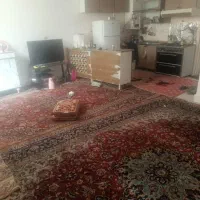 ۷۰ با ۹/ یک خوابه/ بلوار سیبویه|اجارهٔ خانه و ویلا|شیراز, شیشهگری|دیوار