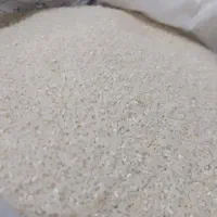 نیم دانه طارم هاشمی