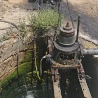 زمین باغ دارای آب|فروش دفتر صنعتی، کشاورزی، تجاری|ارژن, |دیوار