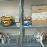 جنس پلاسکو