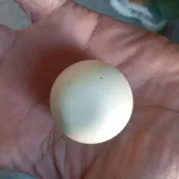 سنگهای قیمتی بسیار مناسب می باشند|کلکسیون اشیاء عتیقه|علیآباد کتول, |دیوار