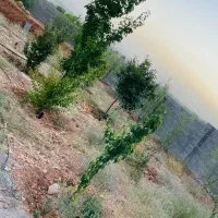 زمین مسکونی تجاری فاز۱ ۳۰۰متر ۳نبش