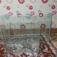 آکواریوم فروشی|ماهی|سیرجان, |دیوار
