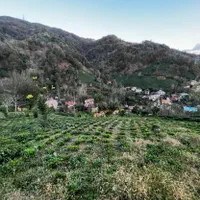 زمین ۱۰۰۰ متری با پروانه ساخت