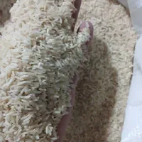 برنج طارم|خوردنی و آشامیدنی|سیروان, |دیوار