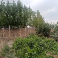 فروش باغ 1000متری صفاییه کوچه11