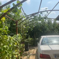 خانه باغ ویلایی با درختان متنوع|فروش خانه و ویلا|کیاکلا, |دیوار