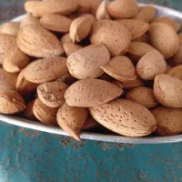 بادام سنگی