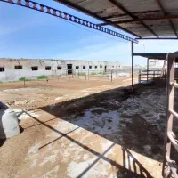 سالن 300 متری 1000 متر محوطه حاشیه جاده فریمان|اجارهٔ دفتر صنعتی، کشاورزی، تجاری|مشهد, طرق|دیوار