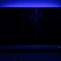 تلوزیون 49 اینچ آیوا