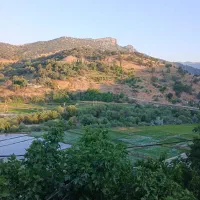 زمین-شهرک-جانبازان-قطعه-594-200-متر-شمالی