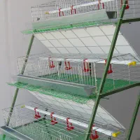 تولید تخم مرغ با قفس های ممبری 3طبقه|ماشین‌آلات صنعتی|قزوین, |دیوار