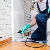 انجام خدمات سمپاشی