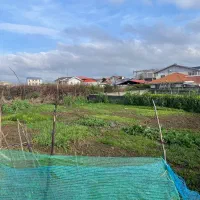 زمین-تاپ-سنددار-لوکیشن-چسب-شهر