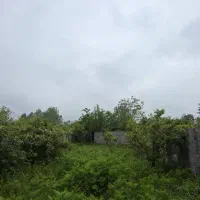 فروش زمین خارج بافت 300 متری