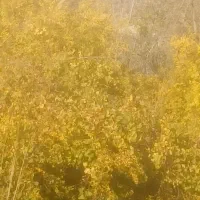 فروش زمین بهجرد لب اسفالت