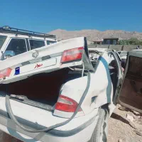 سمند تصادفی