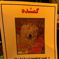 سگ گم شده