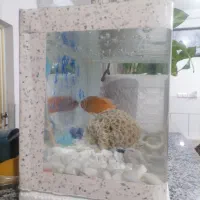 اکواریوم|ماهی|سیرجان, |دیوار