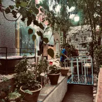 بارتندر حرفه ای سابقه دار