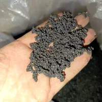 کود سویل آکواریوم