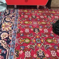 سرویس کامل تخت وکمد