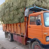 یونجه درجه یک