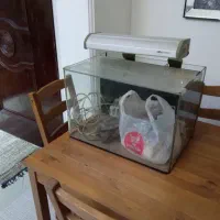 آکواریوم با تمام وسایل|ماهی|اهواز, کیانپارس |دیوار