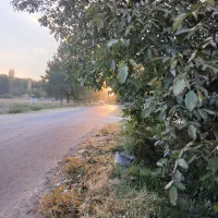 باغچه الوان بر آسفالت تازه کندقشلاق ۸۰۰ متر|فروش زمین و ملک کلنگی|ارومیه, |دیوار