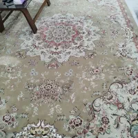 فروشی|فرش|بندرعباس, |دیوار