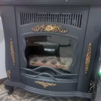 بخاری ارنست