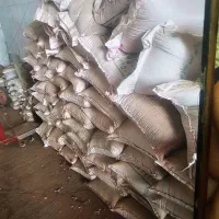 گندم آبی|عمدهفروشی|بیجار, |دیوار