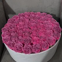 تخفیف روز مادر (روز زن)|گل مصنوعی|بروجن, |دیوار