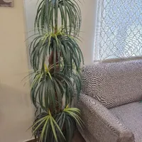 گل مصنوعی