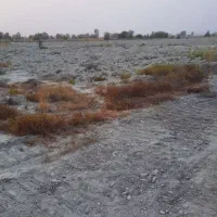 اجاره زمین کشاورزی|اجارهٔ دفتر صنعتی، کشاورزی، تجاری|میناب, |دیوار