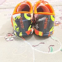 کفش سالنی و چمن|کیف، کفش، کمربند|تربت جام, مطهری|دیوار