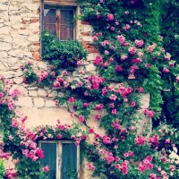 آپارتمان ۵۰ متری فرهنگیان   بزرگمهرجنوبی