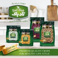 اعطای عاملیت مواد غذایی در شازند