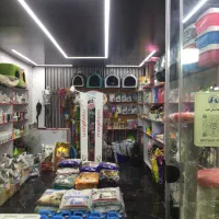 پت شاپ پتینو