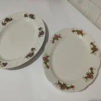 دیس گلسرخی قدیمی