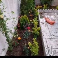 خدمات باغبانی باغچه کاری گل کاری تعویض خاک گلدون|خدمات باغبانی و درختکاری|تهران, صادقیه|دیوار