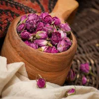 غنچه گل محمدی اپاش