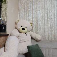 عروسک خرسی