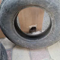 لاستیک پیکان و۱۷۵.کمک پژو.خطرپرشیا..مثلثی خطر|قطعات یدکی و لوازم جانبی|شیراز, احمدی جنوبی|دیوار