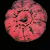 جواهرات . زمرد|جواهرات|اصفهان, شاهد|دیوار