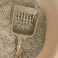 خاک و دیگر وسایل گربه و سگ - تقریباً نو و سالم