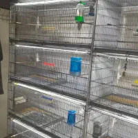 هشت خان غلامی|لوازم جانبی حیوانات|شاهدشهر, |دیوار