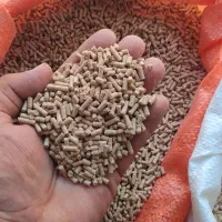 تغذیه مناسب مرغ تخم گذار تخم طلا دان موجود|حیوانات مزرعه|وحیدیه, |دیوار